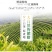白茶正宗安吉2020年新茶叶礼盒装250g有好货一件代发
