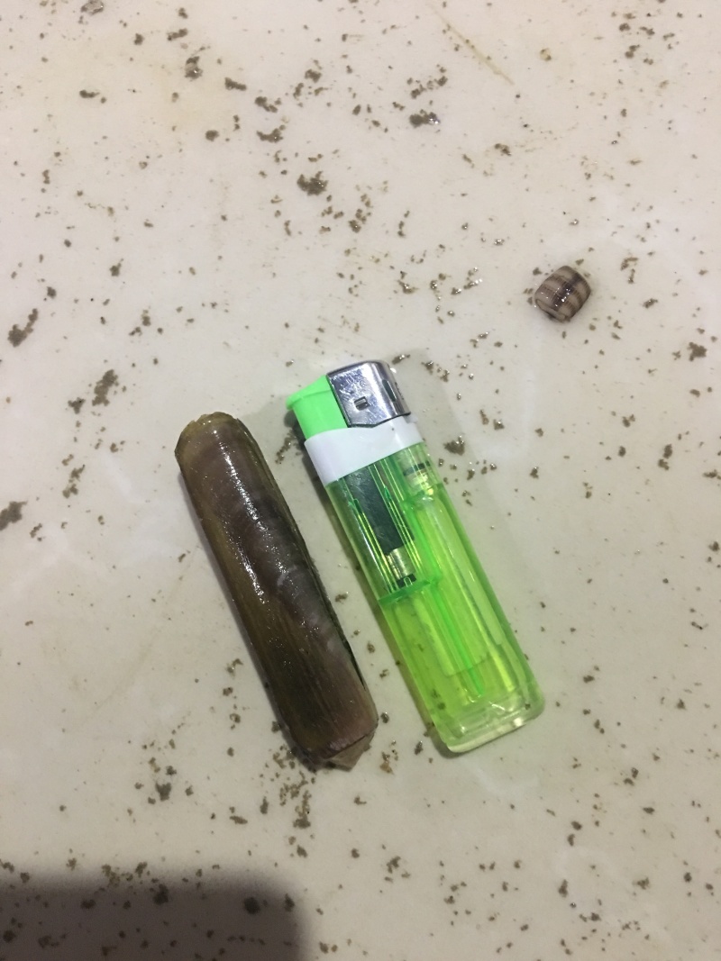 正宗，北部湾，生猛。圣子王