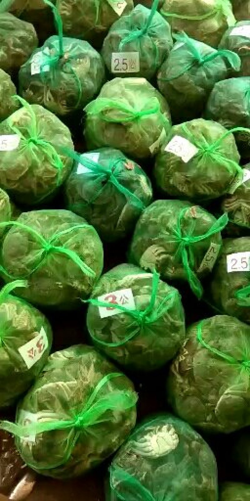 兴化红膏大闸蟹3.0两公