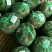 兴化红膏大闸蟹1.68母