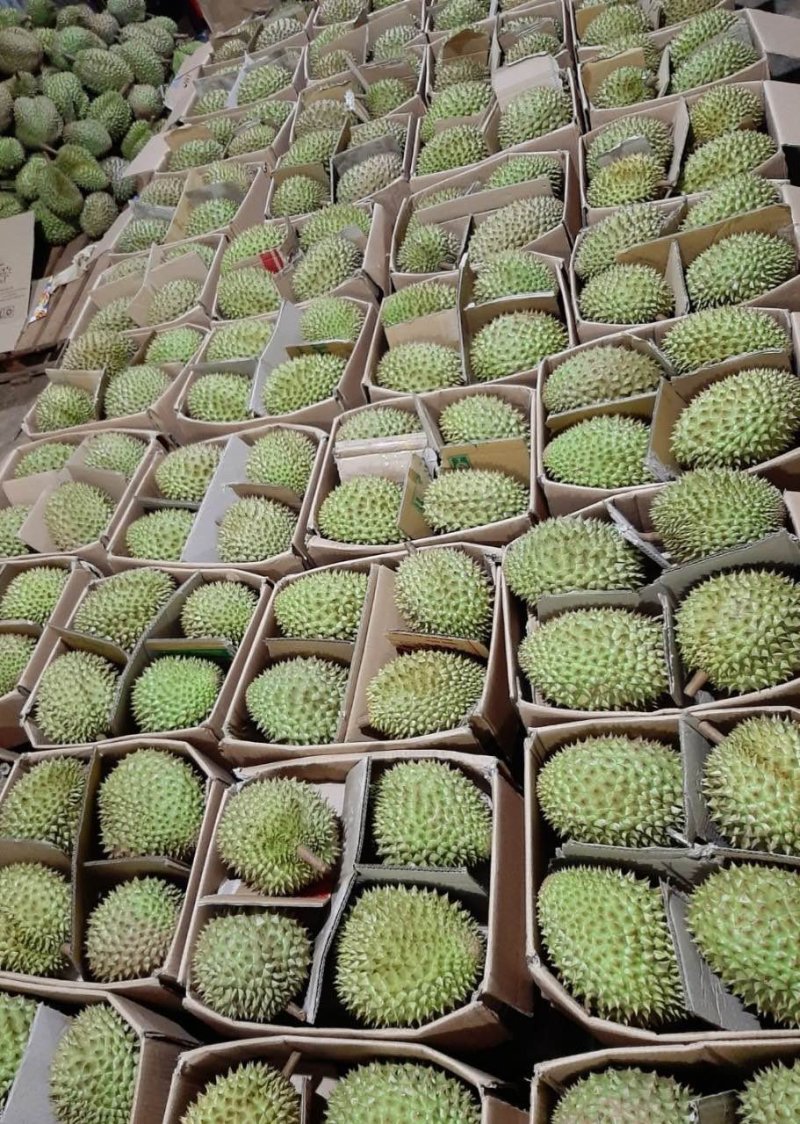 新品ri6一匠黄金金榴莲