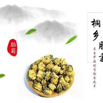 厂家直销胎菊70g装杭白菊桐乡菊花厂家直销胎菊70g装