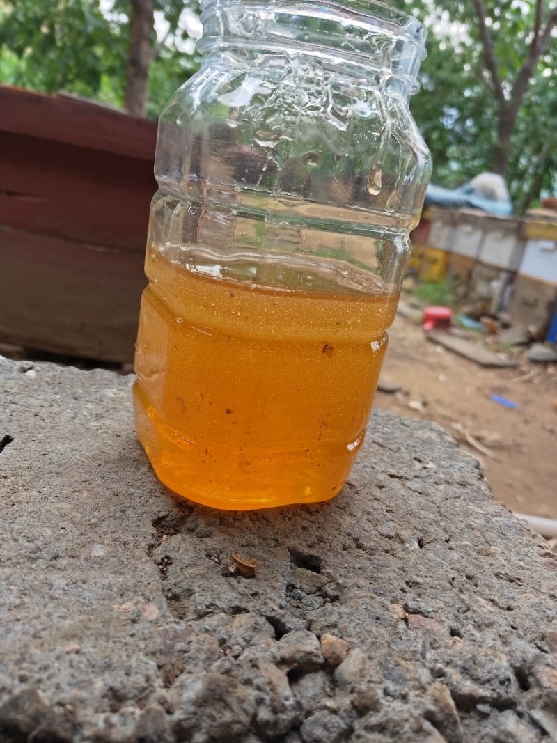 蜂巢蜜