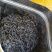 乌岽单丛茶蜜兰香单枞茶熟茶潮汕乌龙茶凤凰单枞茶叶1斤1袋