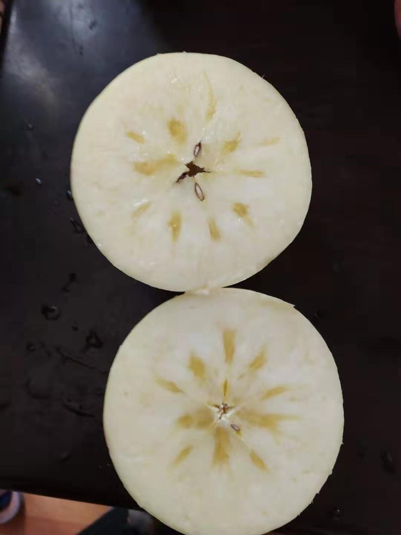 奶油富士精品