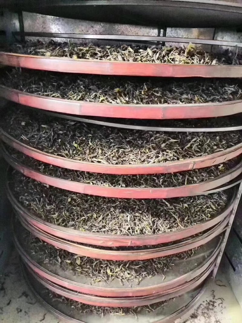 优质鸭屎香单丛茶茶头好茶身上掉下来的肉口感浓香