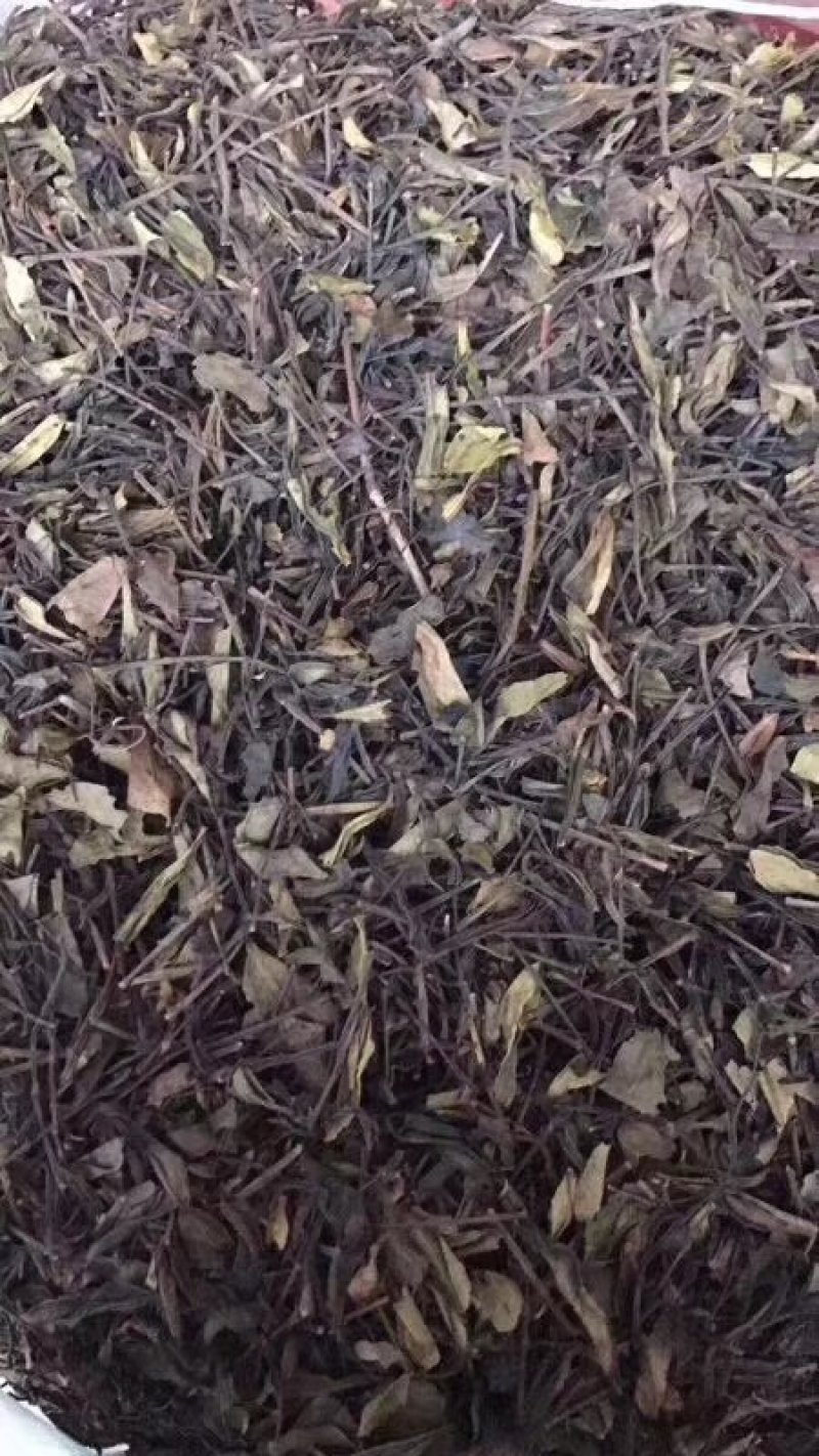 优质鸭屎香单丛茶茶头好茶身上掉下来的肉口感浓香