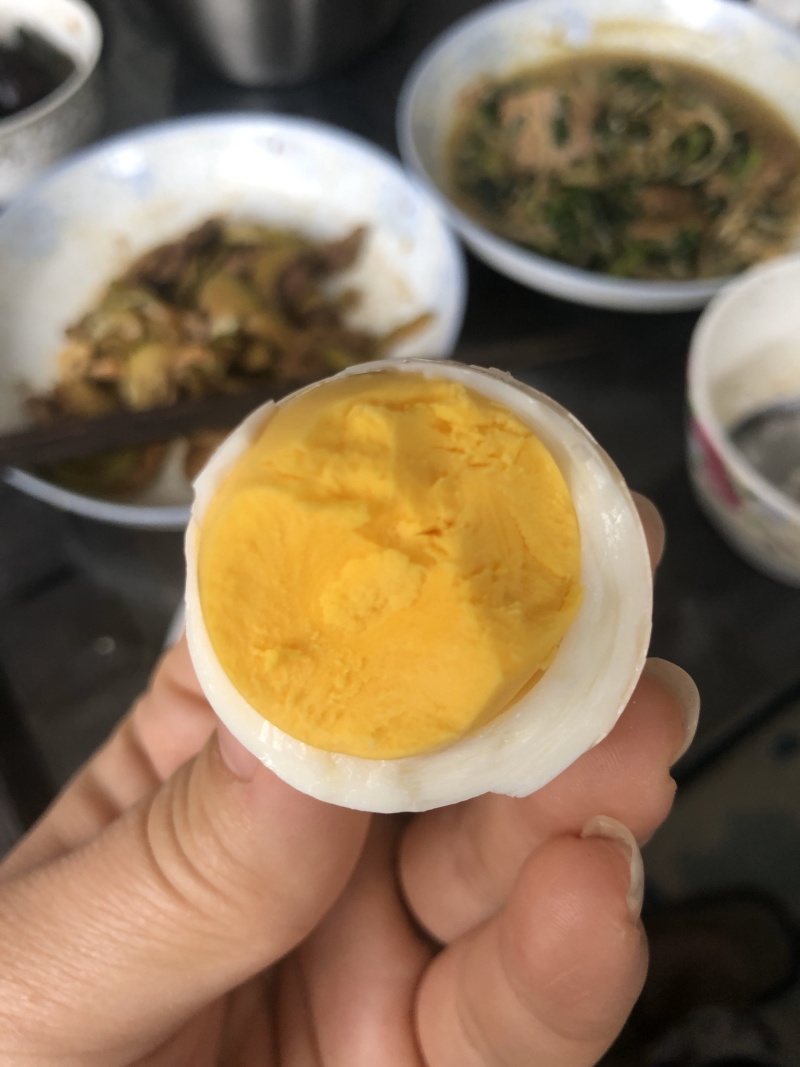 有机土鸡科学指定区域散养杜绝垃圾鸡笨鸡蛋种蛋初蛋