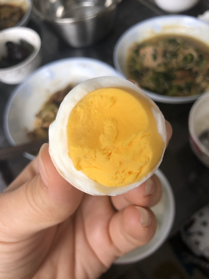 有机土鸡科学指定区域散养杜绝垃圾鸡笨鸡蛋种蛋初蛋