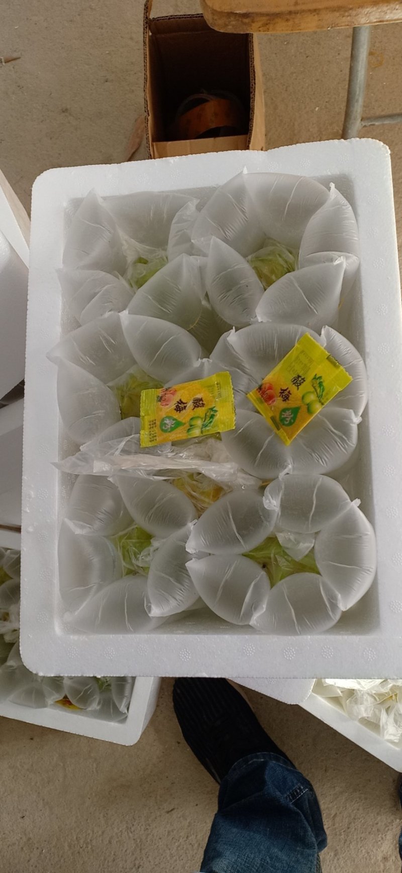 杨桃
