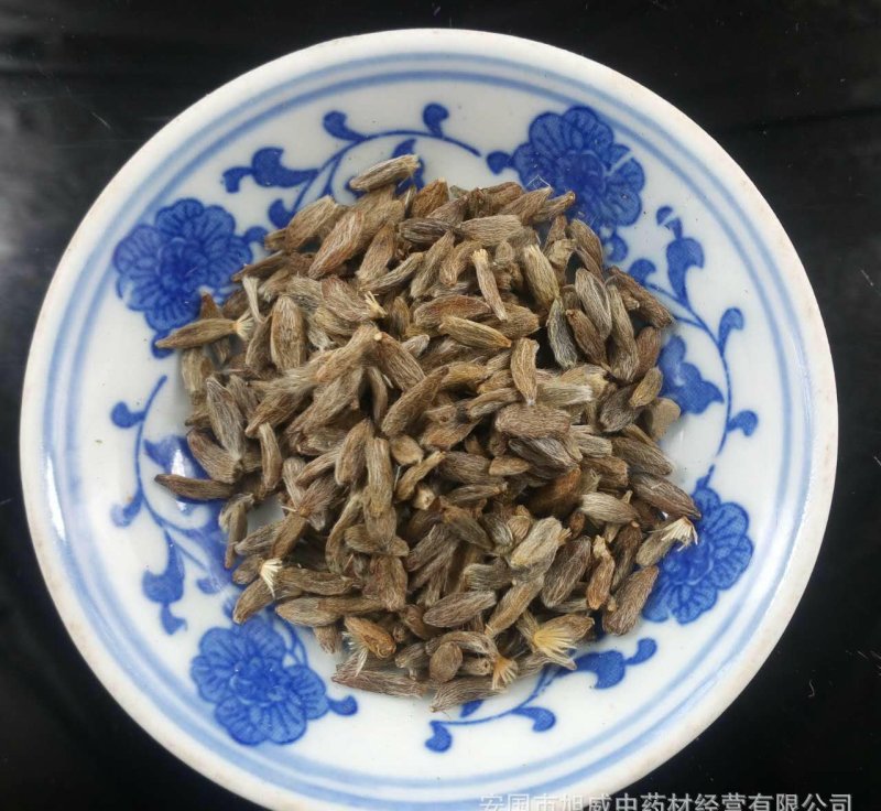 改良白术苗，开始种植了，免费技术指导，包回收