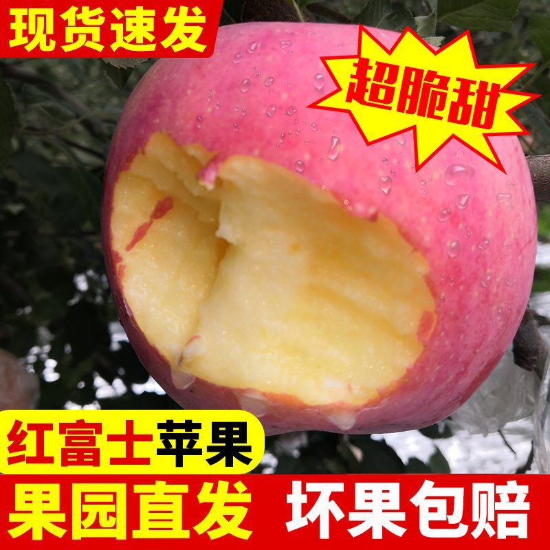 红富士苹果一件代发全国包邮