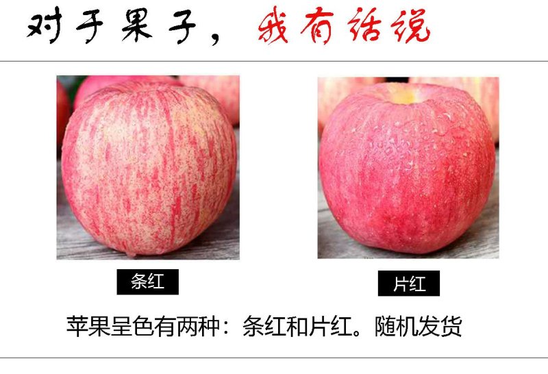 红富士苹果一件代发全国包邮