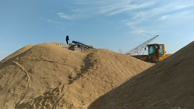 精选稻谷适合鲜米业加工。