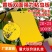 粘虫板，黄板蓝板，双面粘虫板，20✘25诱虫板，果园