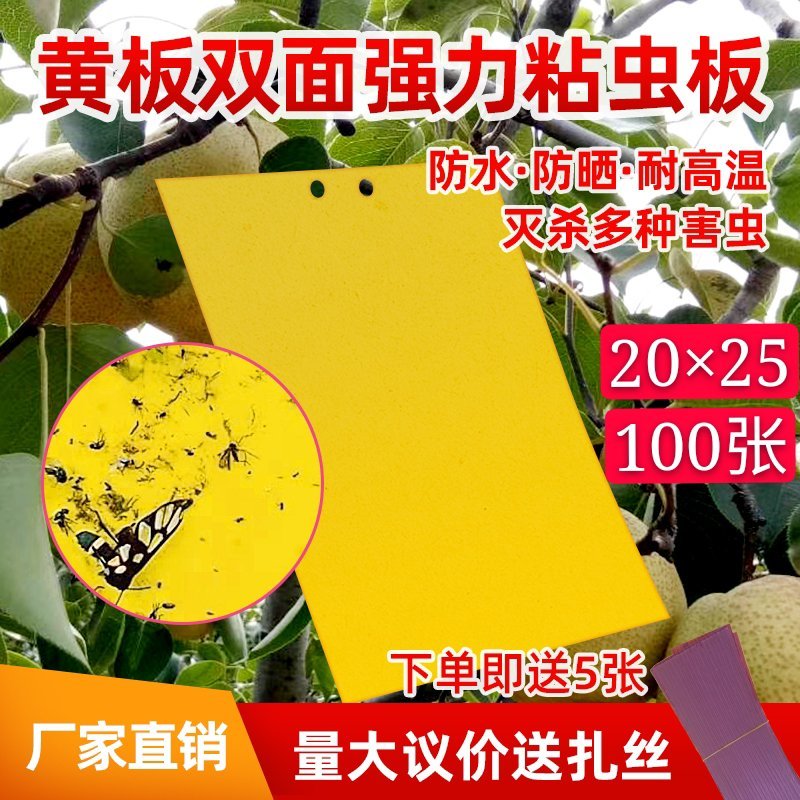 粘虫板，黄板蓝板，双面粘虫板，20✘25诱虫板，果园