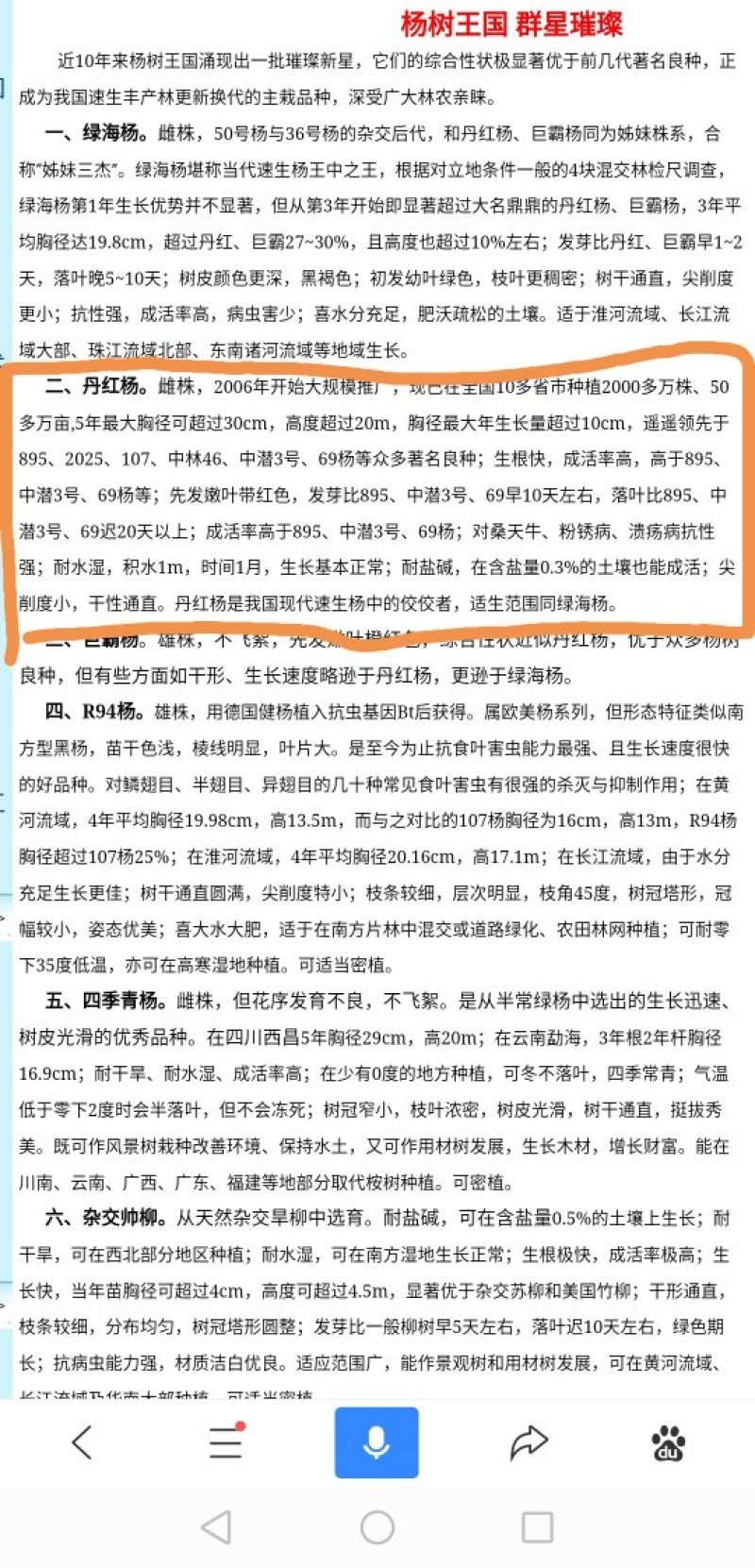 湖北潜江速生杨，品种，丹红杨，生长速度快，欢迎来电咨询