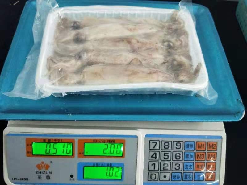 笔管鱼