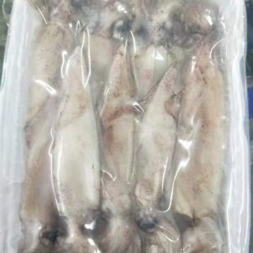 笔管鱼