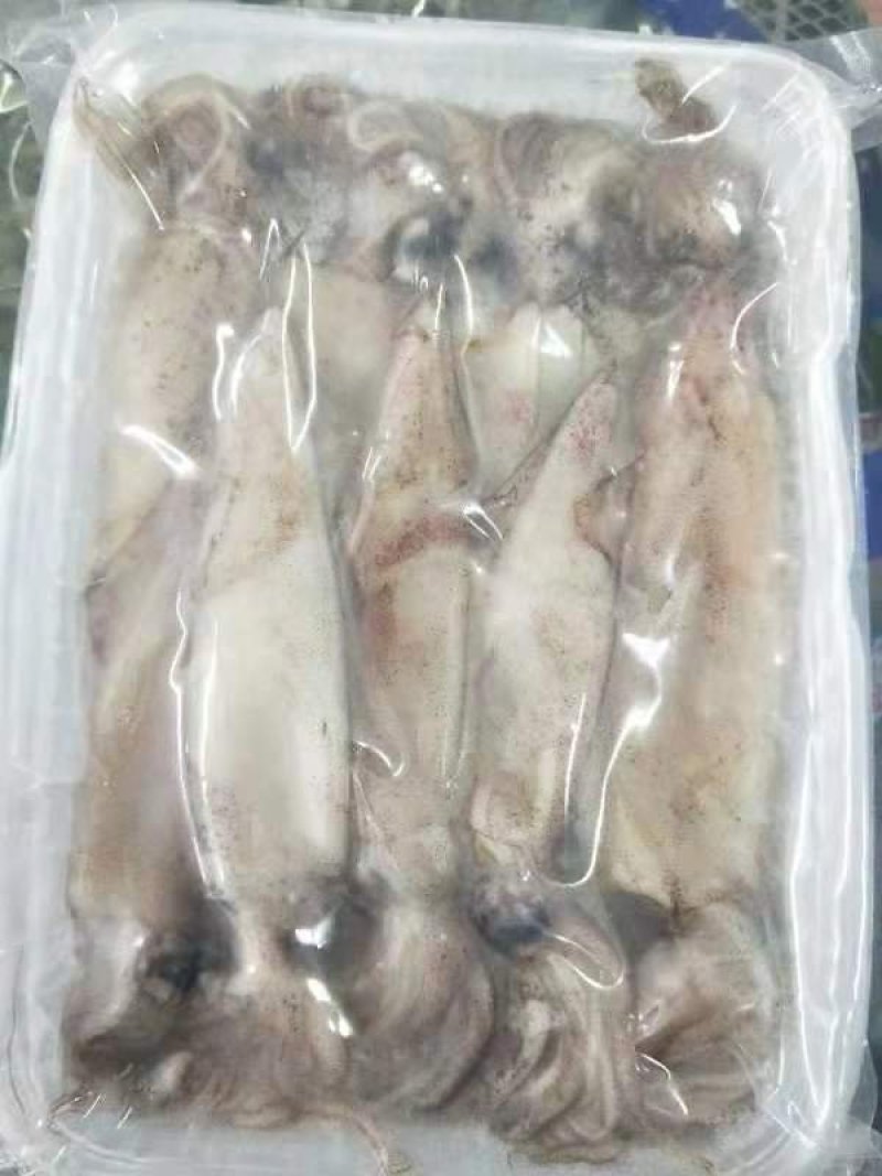 笔管鱼
