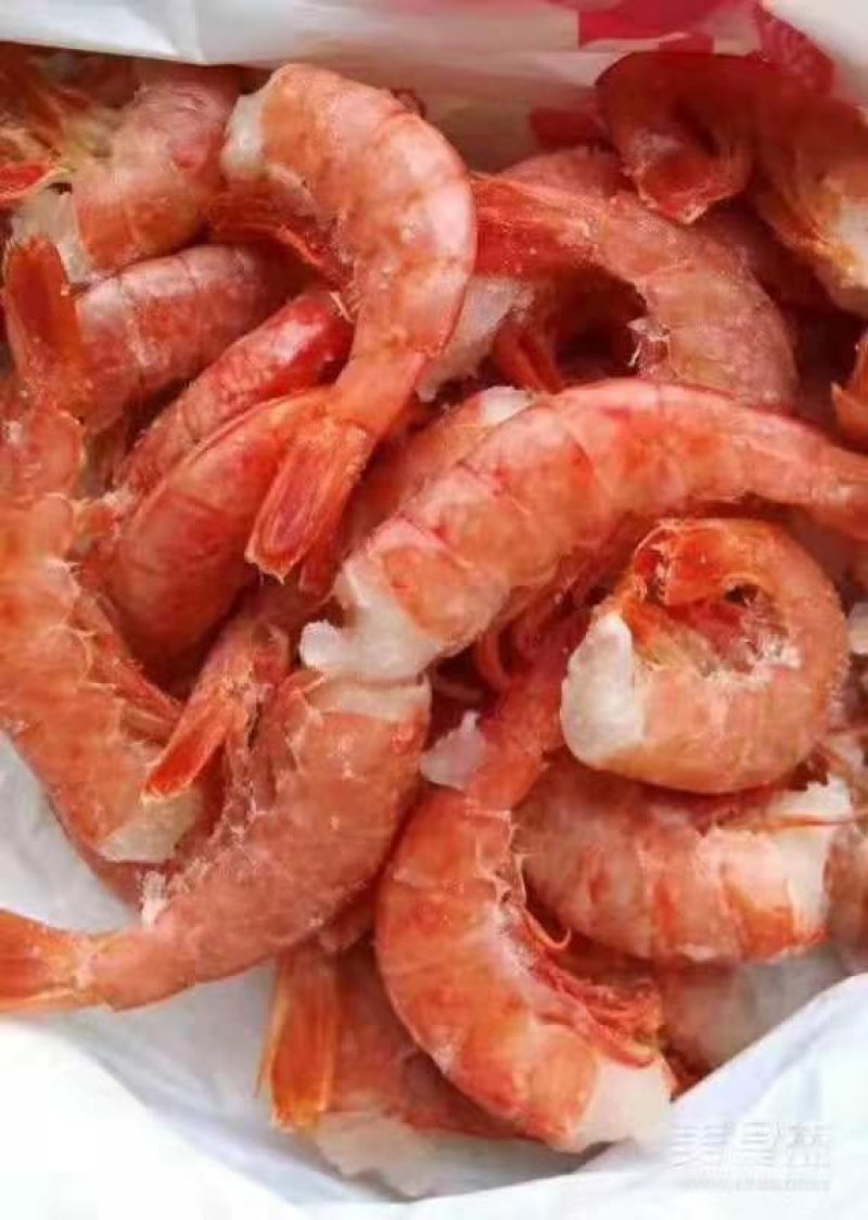 无头阿根廷红虾
