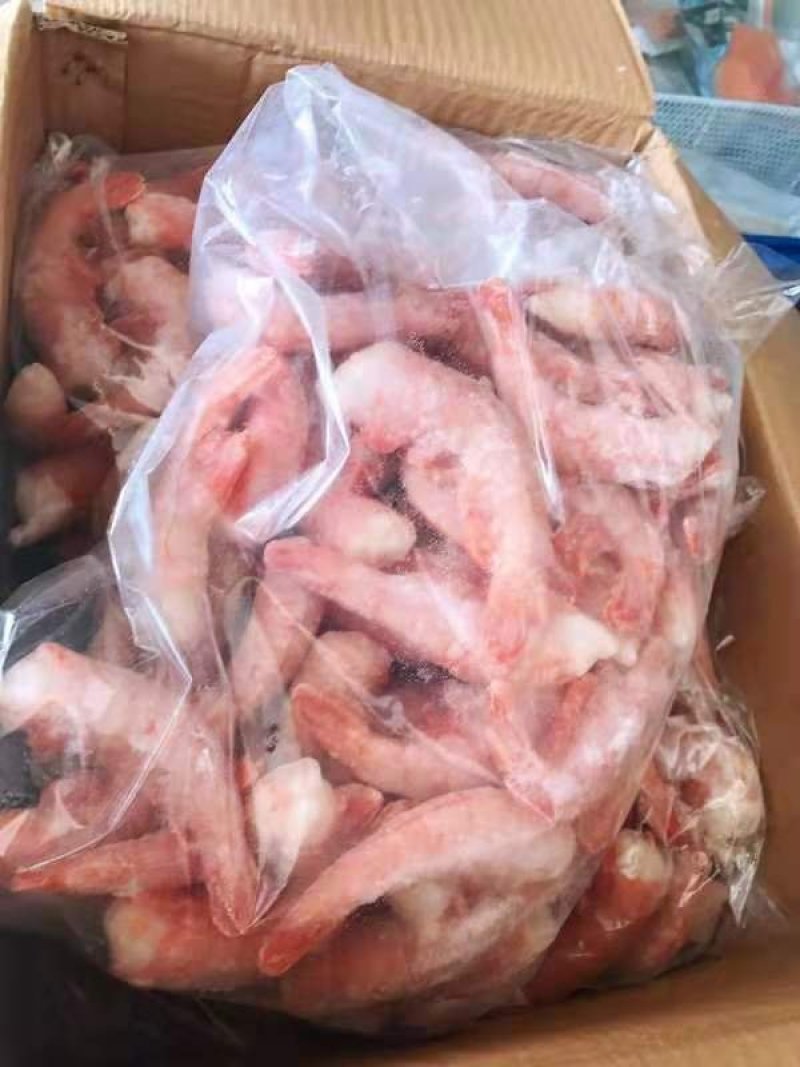 无头阿根廷红虾