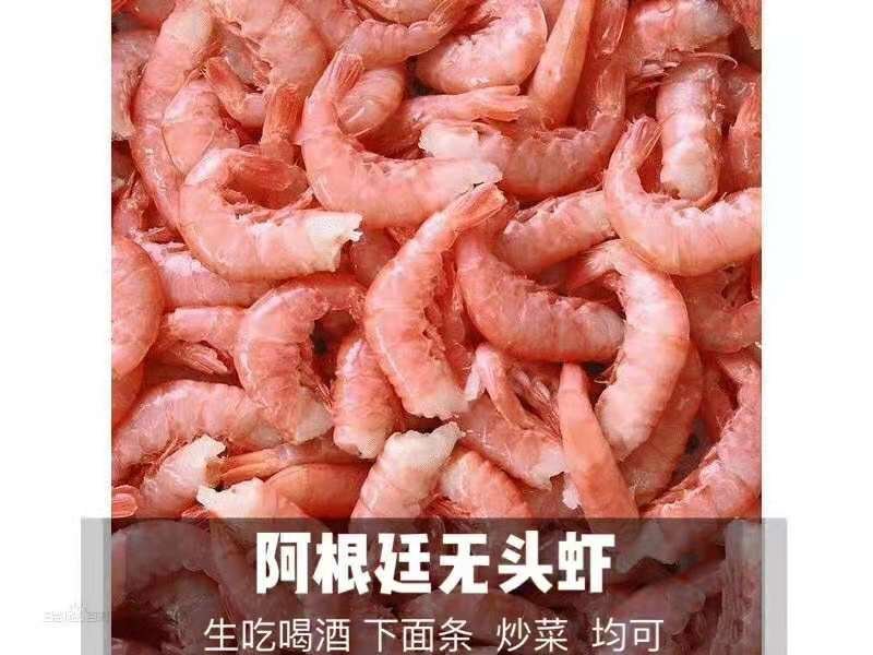 无头阿根廷红虾