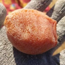 青州吊柿霜饼