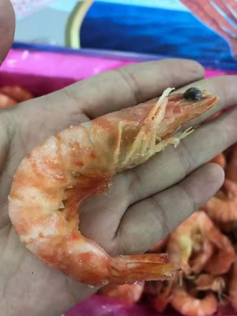 熟冻九节虾