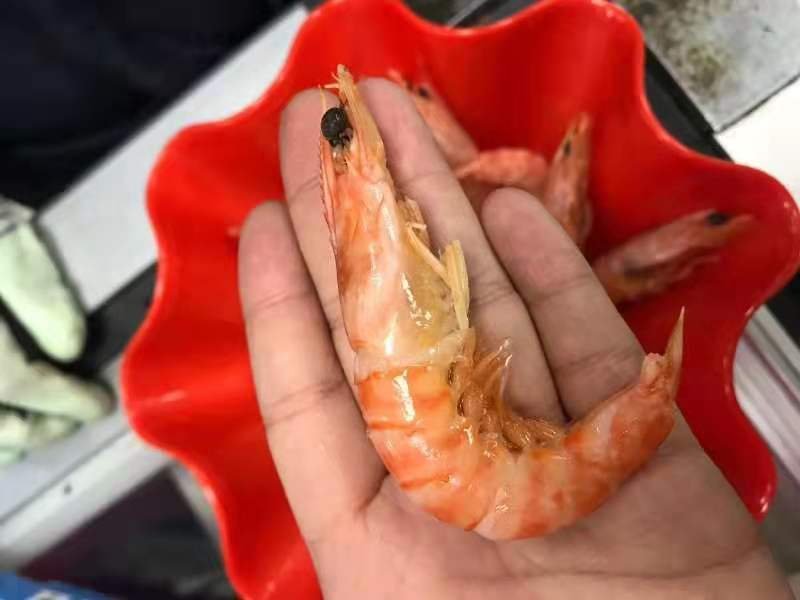 熟冻九节虾