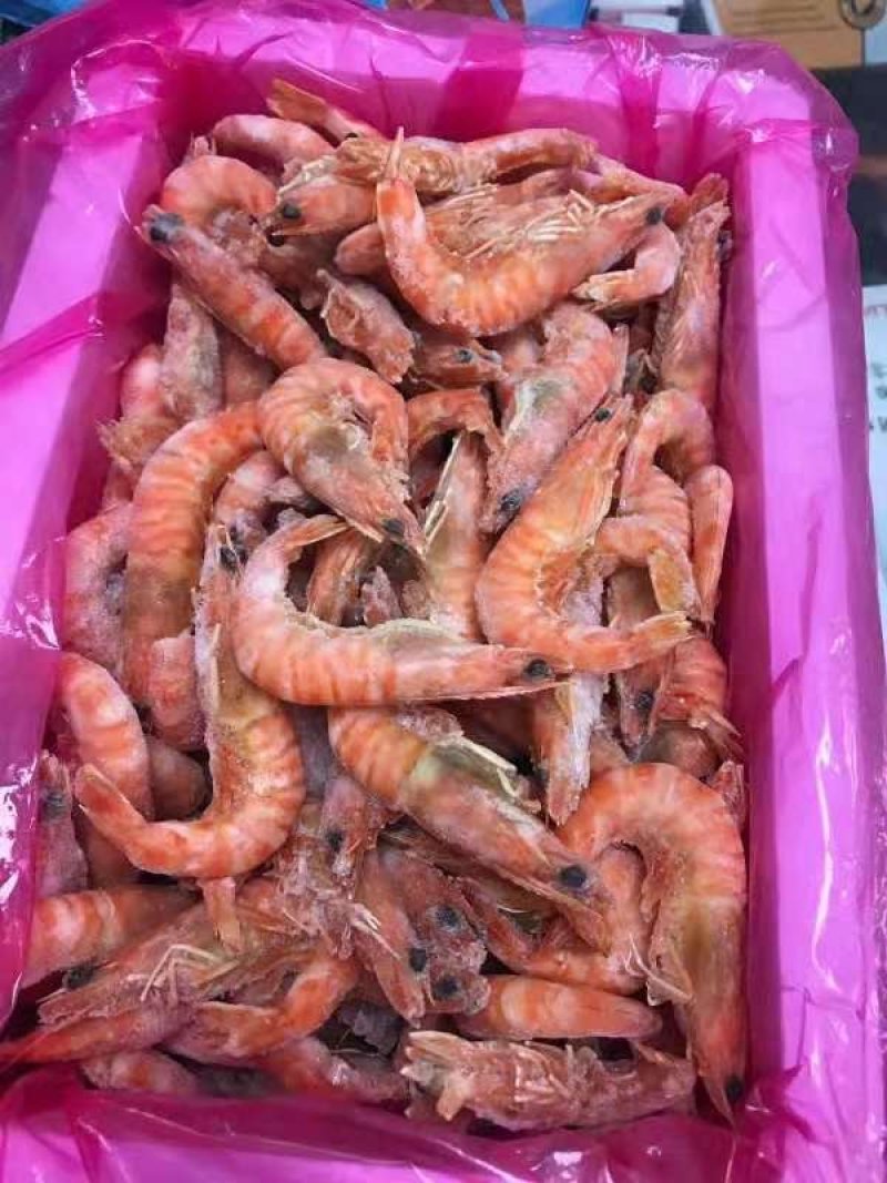 熟冻九节虾
