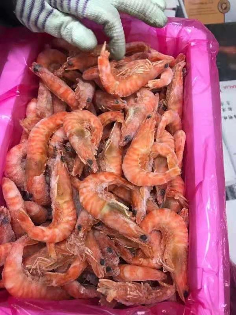 熟冻九节虾