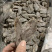 黑糖姜片