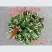 蟹爪兰花苗花卉盆栽多肉植物绿植蟹爪莲花卉仙人掌嫁接盆栽吊