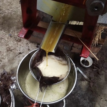 山茶油