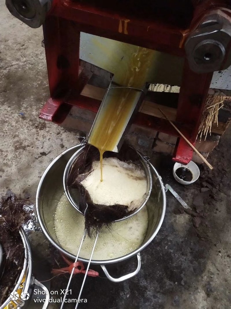 山茶油