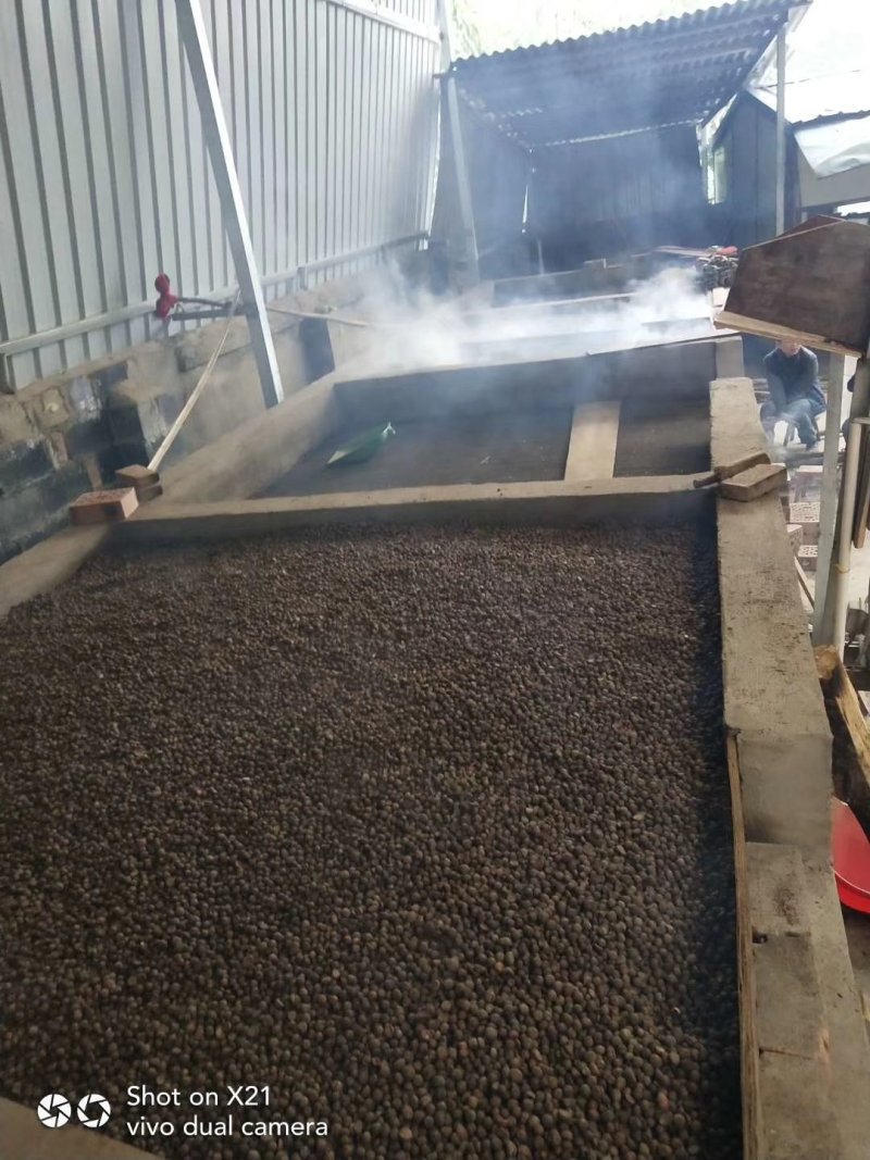 山茶油