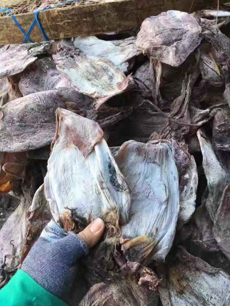 1号黑鱿鱼、淡干鱿鱼有视频看，价格实惠，产地直销