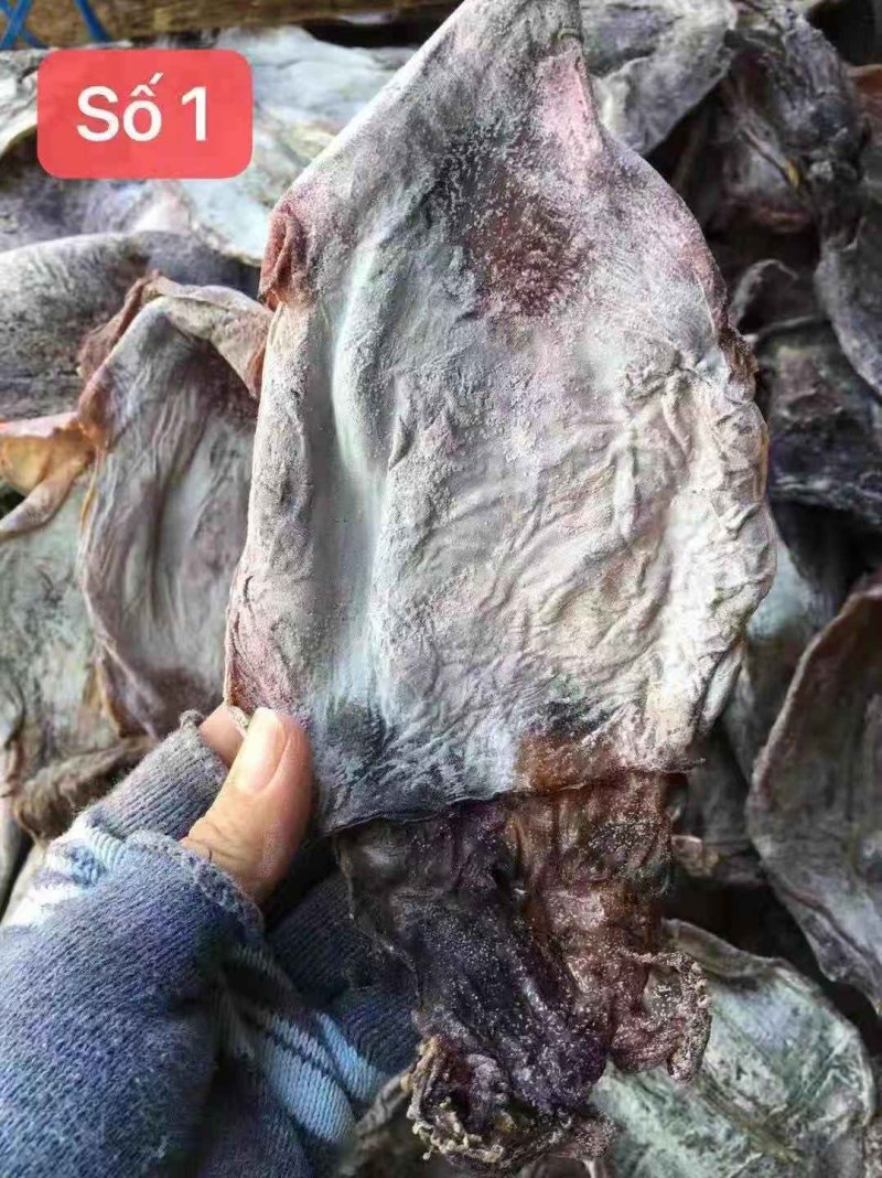 1号黑鱿鱼、淡干鱿鱼有视频看，价格实惠，产地直销