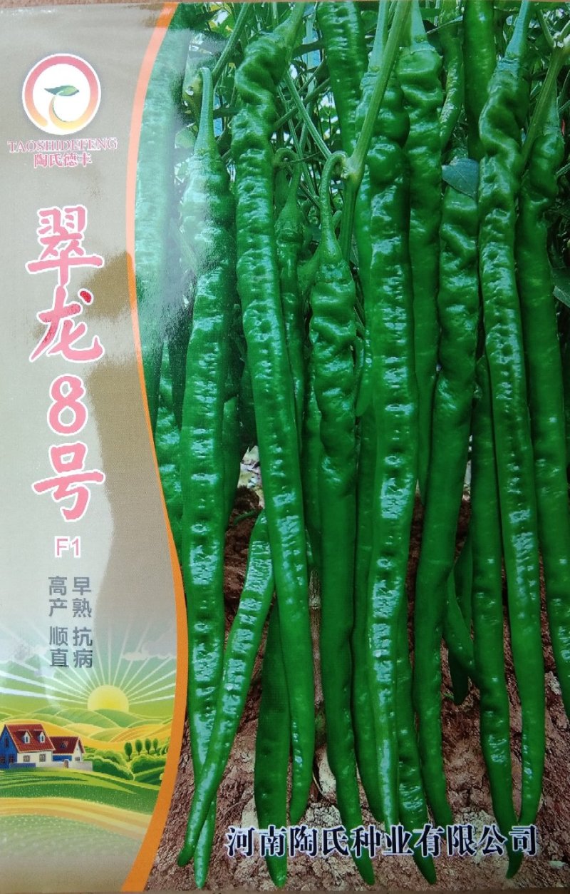 陶氏德丰1000粒软皮长线椒种子