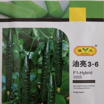 山东新泰20克3一6油亮型黄瓜种子