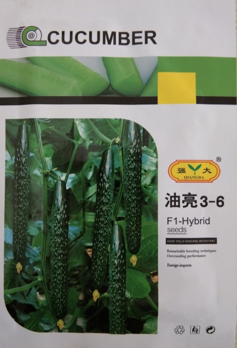 山东新泰20克3一6油亮型黄瓜种子