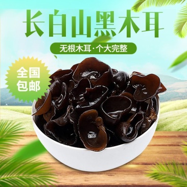 一件代发东北高泡发黑木耳包邮干货肉厚无根野生