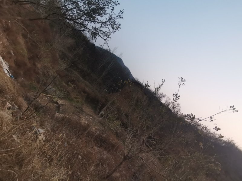 【热卖】霜降吊绳柿饼一件代发主供电商微商各大平台