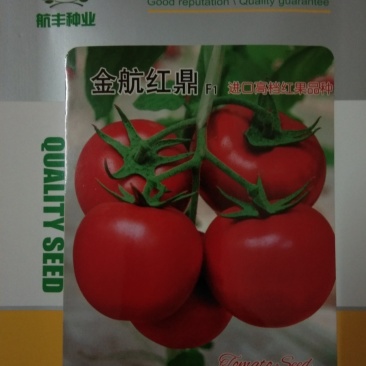 10克金航红鼎F1西红柿大红果番茄种子