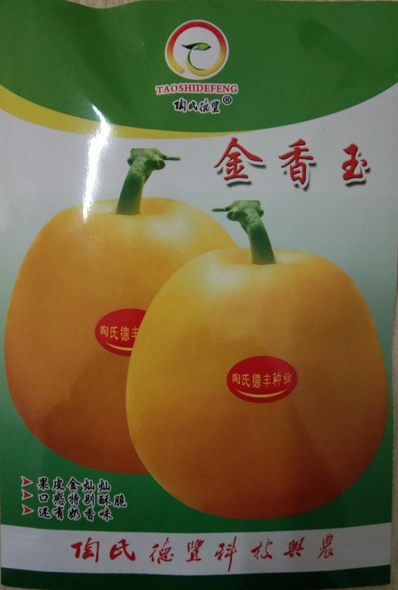 陶氏德丰10克一代杂交金香玉黄皮甜瓜种子