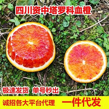 四川资中塔罗科血橙，基地直供一手货源诚招实力代理一件代发