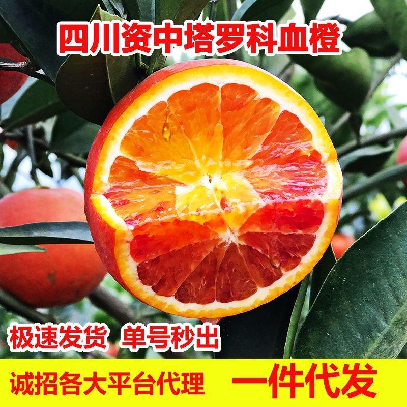 四川资中塔罗科血橙玫瑰血橙红橙子一手货源产地直供一件代