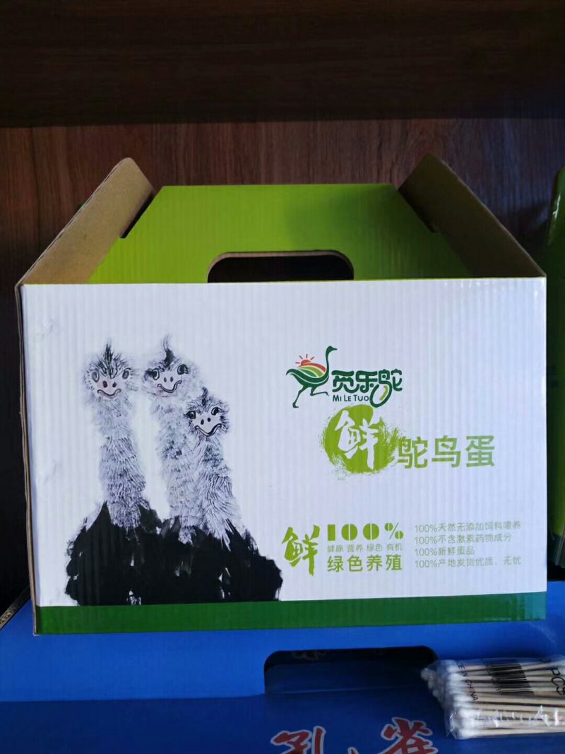 鸵鸟蛋牧场天天现产蛋直供2颗起拍鸵鸟蛋雕礼盒