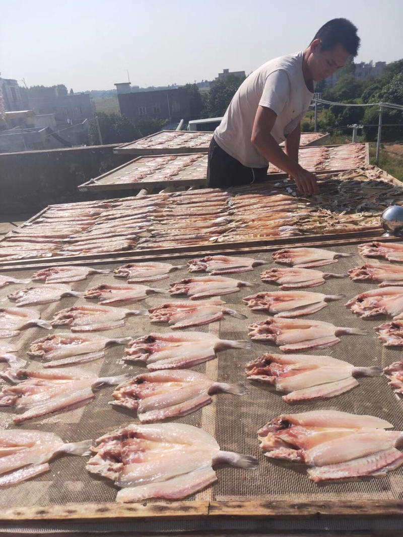 金丝鱼🐟肉厚饱满的大红三鱼干自家自晒湛江乡镇渔民自晒
